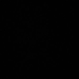 Meet your Posher, Hunter